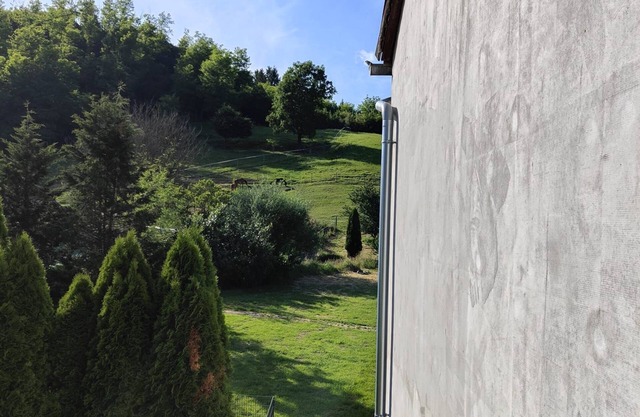 Ferienwohnung Waldblick