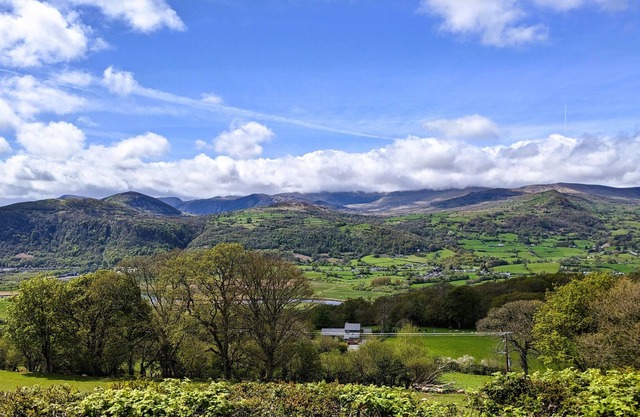Fig Tree: Indoor Pool · Hot Tub · Snowdonia Views