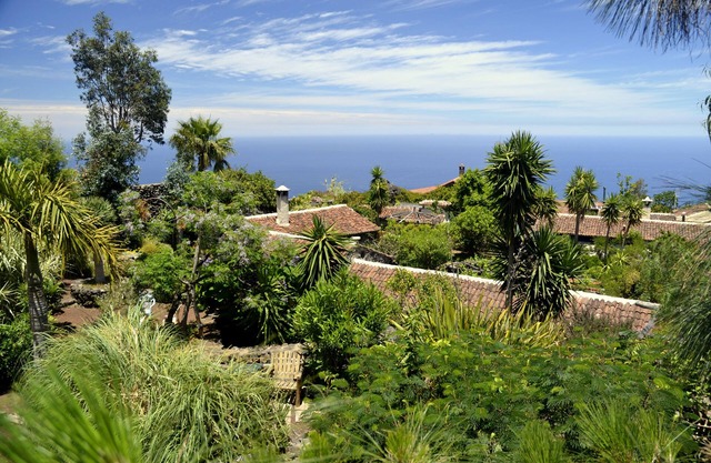Finca El Lance the green oasis in the north of Tenerife