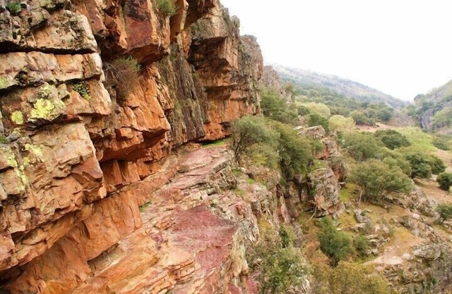 Finca Encinar de las Flores