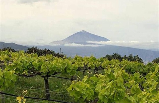 FINCA HOUSE RURAL santa URSULA & montain