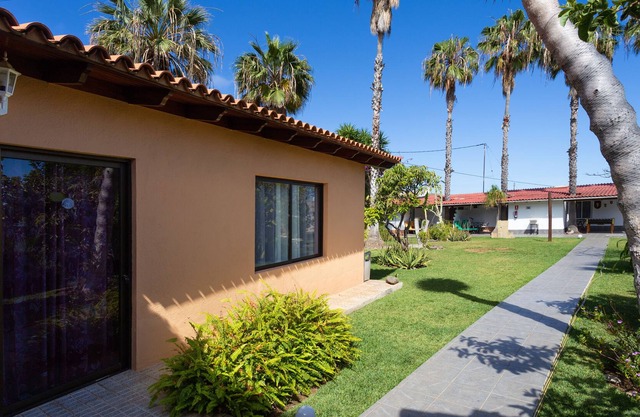 Finca with 5000 m2, surrounded by banana plantations and vineyards