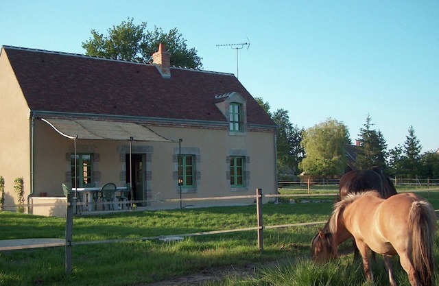Fine holiday home in the surroundings of Vitry-aux-Loges near large swimming lake