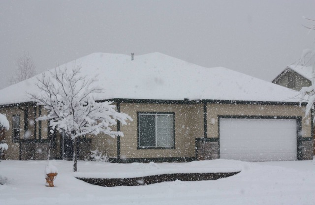 Flagstaff family & pet friendly - 20 minutes to Adventure Park Tubing!