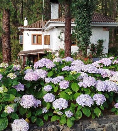 Floral garden house