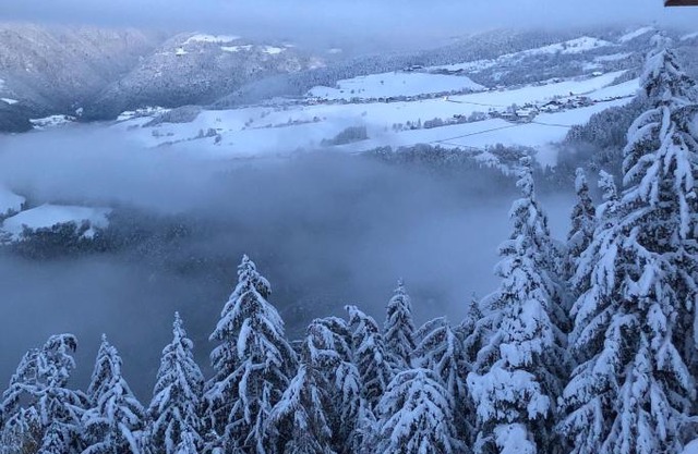Forchnerhof Panorama- Rienzschlucht