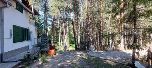 Forest villa Atlantic