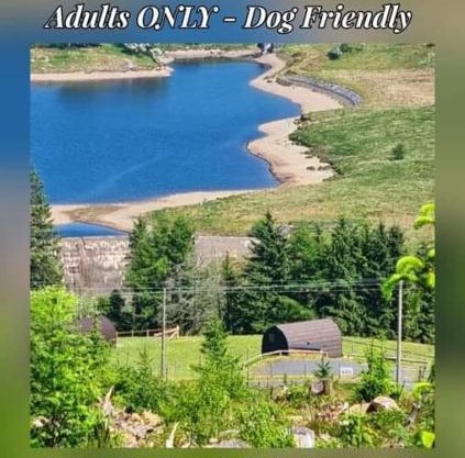 Forester's Retreat Glamping - Cambrian View- Vaccinated dogs over the age of 2 are accepted