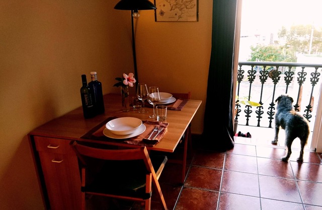 Frodo Haus central apartment Tazacorte