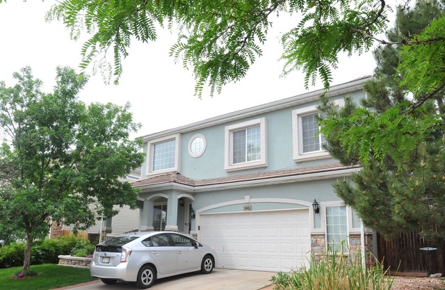 Frst level (walkout basement) apartment-rear entry