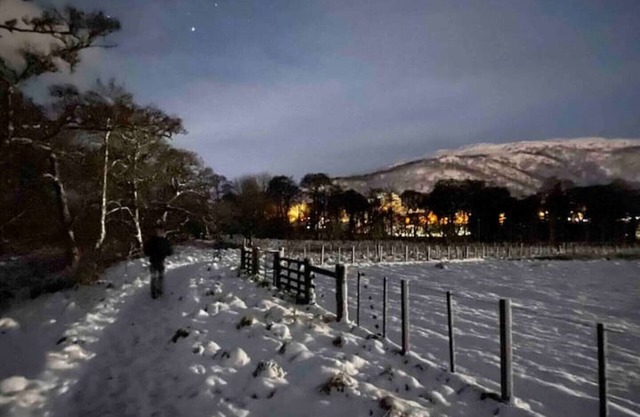 * Full refurb Nov 24 * Aviemore Cottage in peaceful woodland location