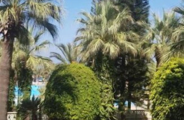 Fully furnished chalet in Las Perlas Resort 10 minutes from Tripoli.