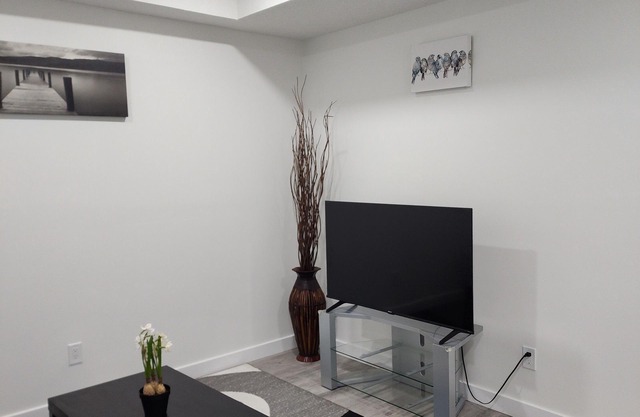 Fully furnished, newly finished basement apartment in a serene neighborhood