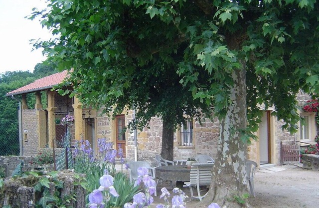 Gîte de la Turdine - Saint-romain-de-popey