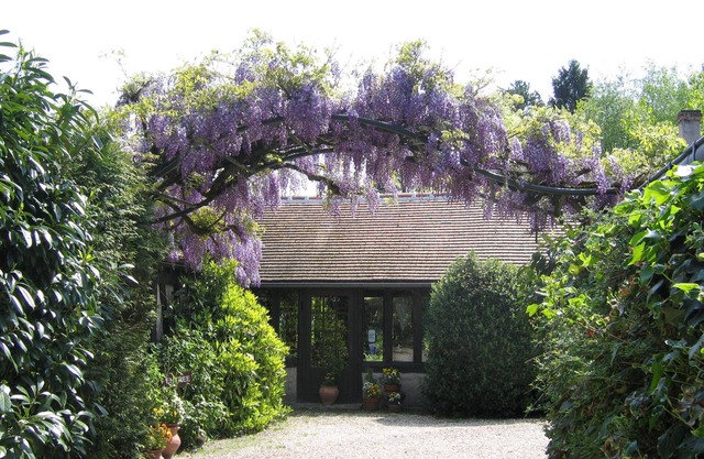 Gîte La Tanière du Goupil Sologne 2 to 4 persons