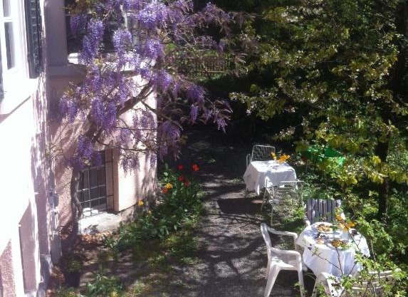 Garden Studio Apartment Zürichberg