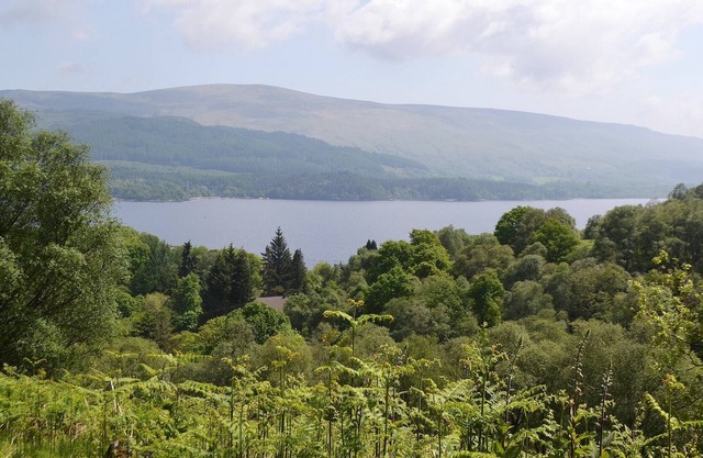 1 bedroom accommodation in Loch Lomond and The Trossachs