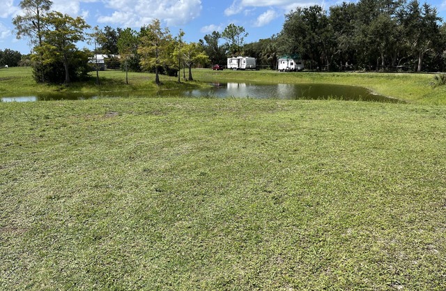 Get away to the Country on a lake enjoying the wild life and horses.