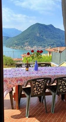 Gipsy - x 6 Garden & Magic