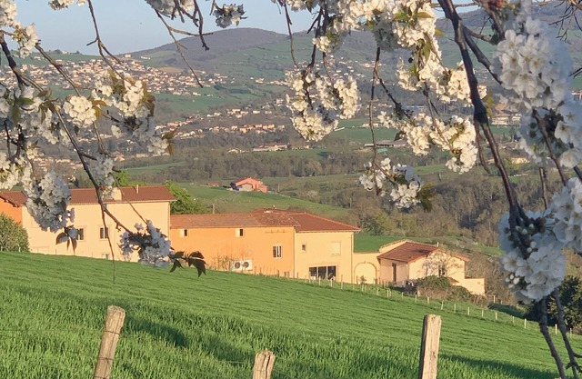 Gîte "Belle Vue" near Lyon in Savigny in the heart of nature with magnificent views