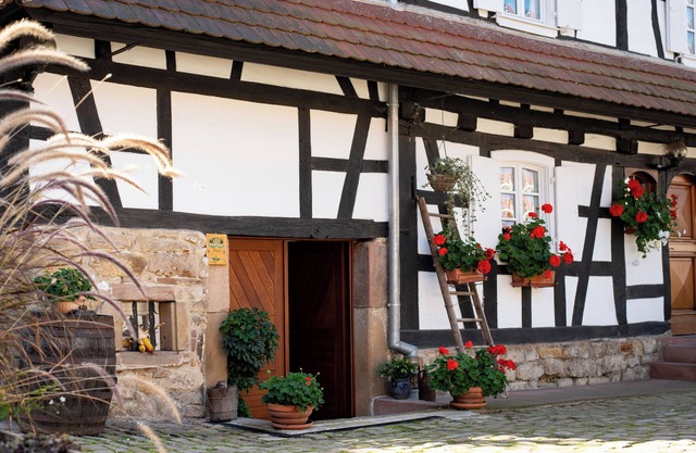 Gite "Cathel" in one of France's most beautiful villages, Hunspach.