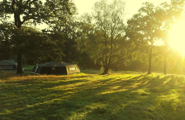 GITE D'OBSERVATION (4/6 pers) - Stopover in the forest