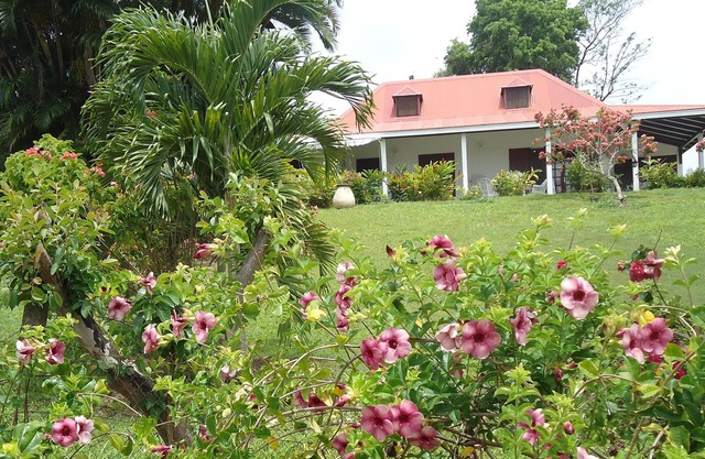 GITE DE CHARME fleuri à Petit Bourg : Self-catering accommodation