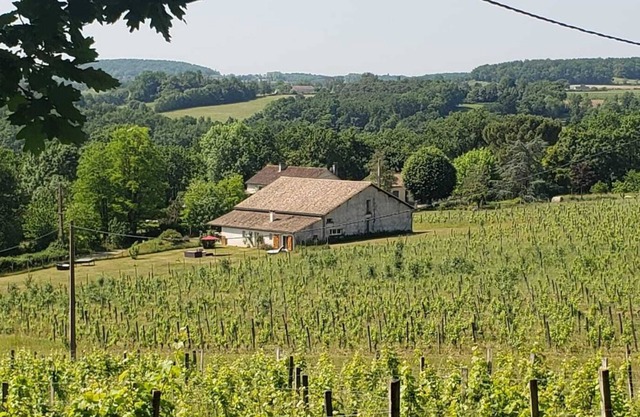 Gîte in the heart of the vineyards