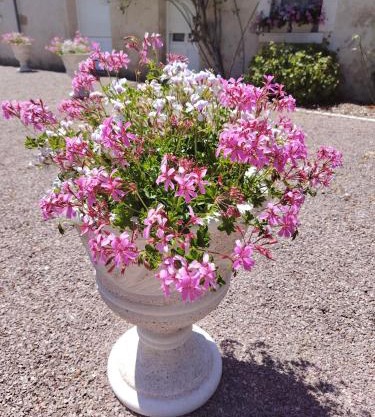 Gite La Nobleterie - 4 personnes Zoo de Beauval 35min