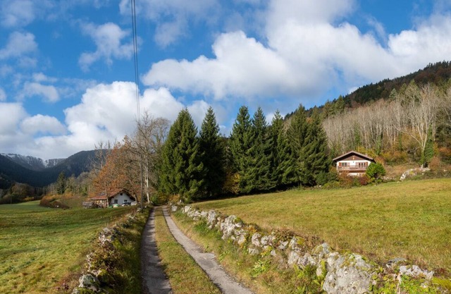Gite nature L'orée des Etoiles - Valley of Munster