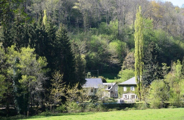 Gite on the edge of the Arac in a green setting with swimming pool