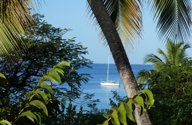 GITE TI'CARAIBE - SEA VIEW - DIRECT BEACH ACCESS - 80 M