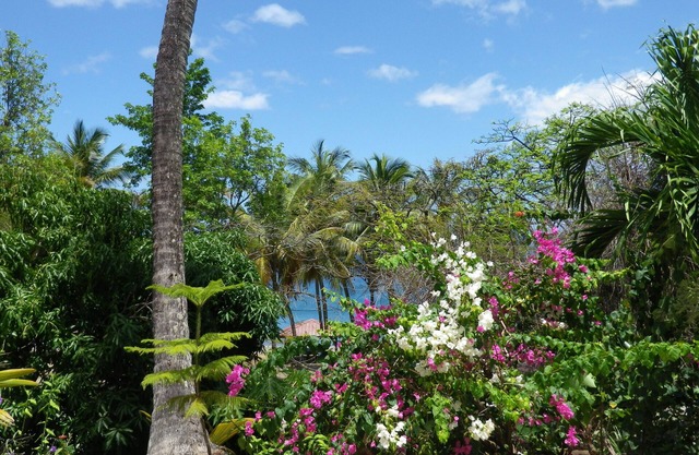 GITE TI SUCRIER - SEA VIEW - DIRECT BEACH ACCESS