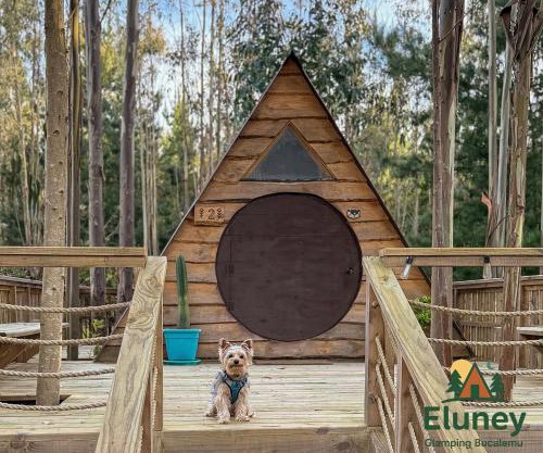 Glamping Eluney Bucalemu