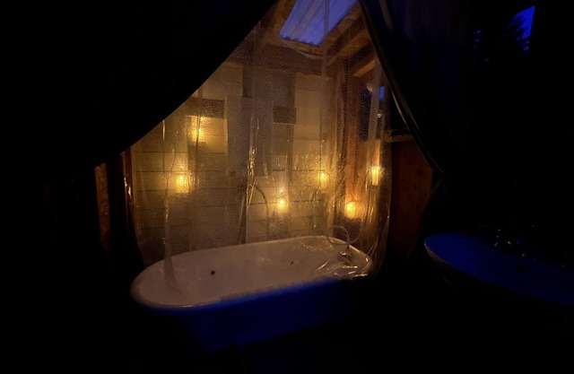Glamping With Alpacas in an Eco-Friendly Dome Outside of Seattle