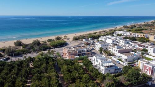 Gli Alfieri a Posto Vecchio