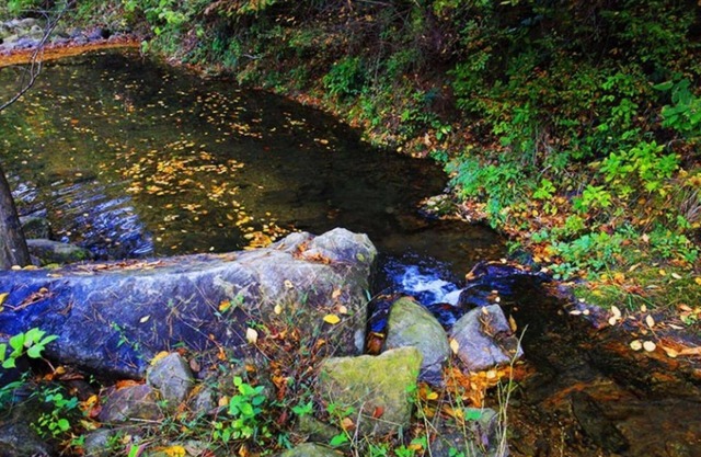 Gokseong Sorigonggan Pension