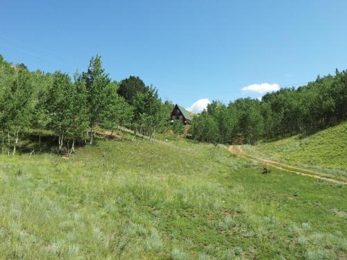 Golden Chalet
