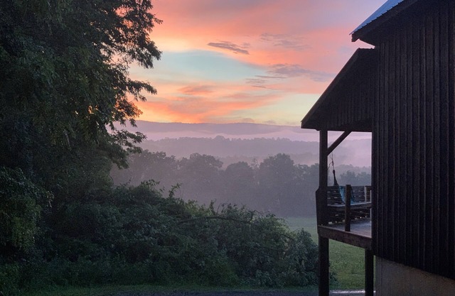 Gorgeous, Amish-Built Post and Beam Cabin on 10 acres, relax and unplug!