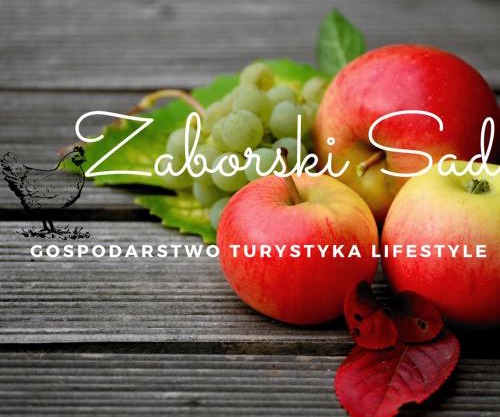 Gospodarstwo Zaborski Sad