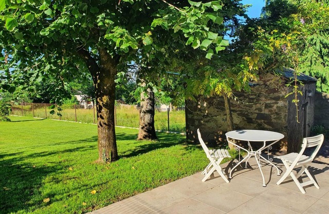 Grand Hortensia - SAINT-PIERRE-DE-TRIVISY