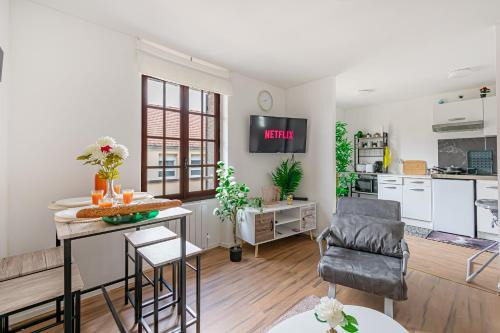 Grand logement 38m2, Aéroport Paris CDG, Disneyland Paris 20min, Parc Astérix, 1 Chambre, 1 Salon