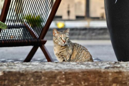 Granny's Place On The River