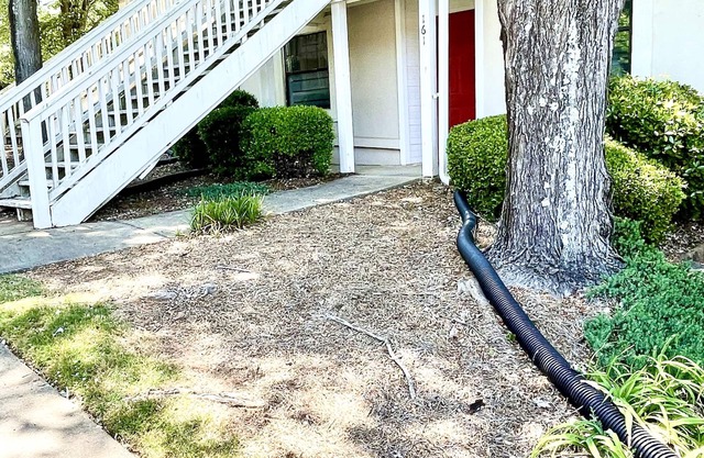 Great Apt. 1 Mile to Downtown Athens & UGA