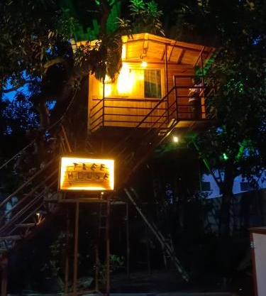 Green island nature resort with swimming pool