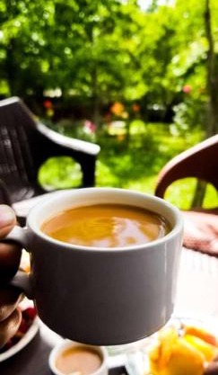 Green leaf Guest house