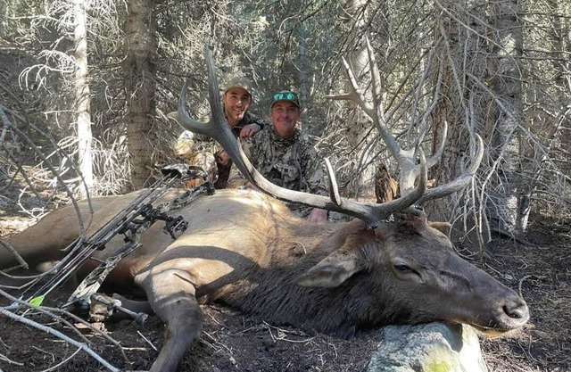 Grizzly - Stunning mountain views on the Elk River