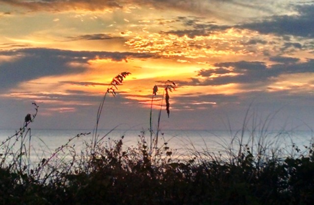 GULF FRONT 3 BR/3.5 bth townhome, steps to the beach! Dogs OK