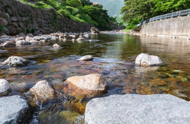 Gurye Dandelion Travel Pension