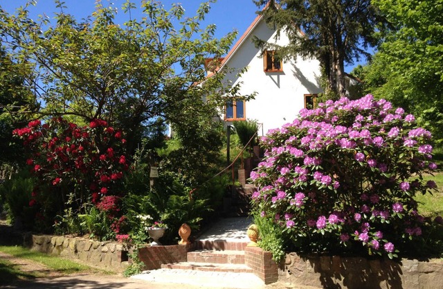 HALE ALOHA Woodstove paradise garden 7person house. Naturepark vacation with dog